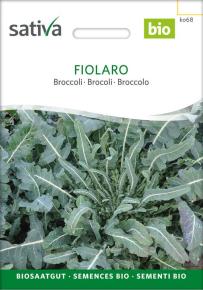 Blattkohl Fiolaro