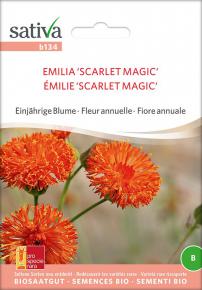 Quastenblume/ Emilie Scarlet Magic