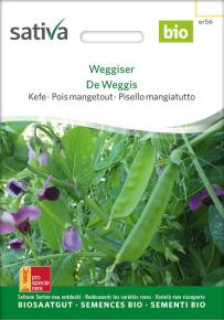 Zuckererbse Weggiser