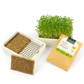 Microgreens Starter-Kit