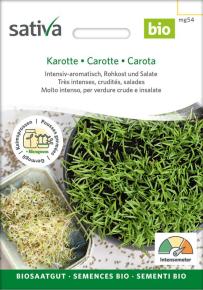 Keimsprossen Karotte