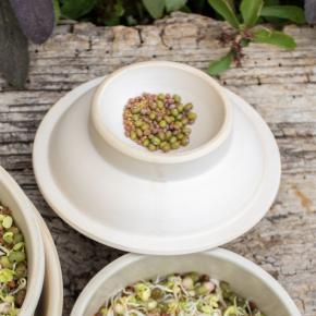 Ersatzdeckel für Keimturm/Sprouter