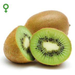 Kiwi Hayward, weiblich