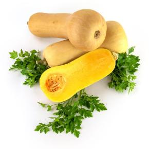 Moschuskürbis Butternut Waltham Pflanze