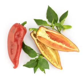 Paprika Ochsenhorn