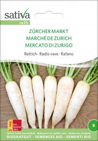 Rettich<br>Zürcher Markt
