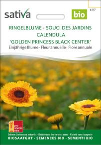 Ringelblume Golden Princess Black Center