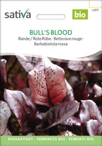 Rote Bete Bull´s Blood