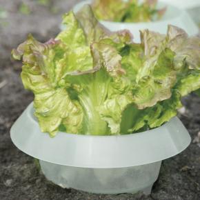 6 Stk. Schneckenkragen langlebiges PP Transparent