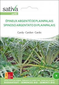 Spanische Artischocke<br>Epineux argente de Plainpalais