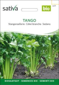 Stangensellerie Tango