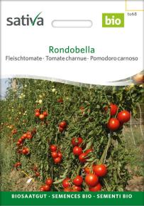 Fleischtomate Rondobella