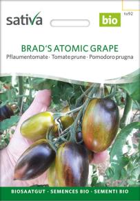 Pflaumentomate Brad´s Atomic Grape