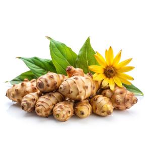 Topinambur Gute Gelbe