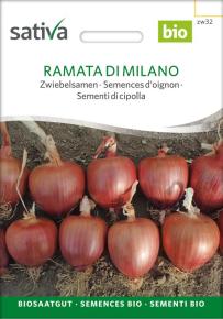 Zwiebelsamen Ramata di Milano