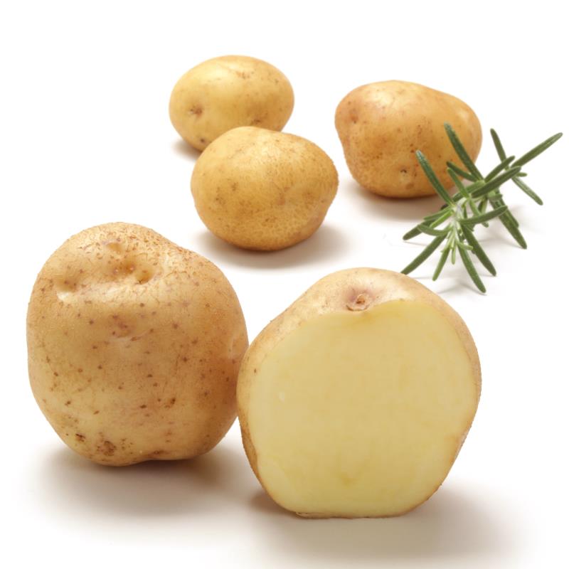 Bio-Kartoffeln Industrie