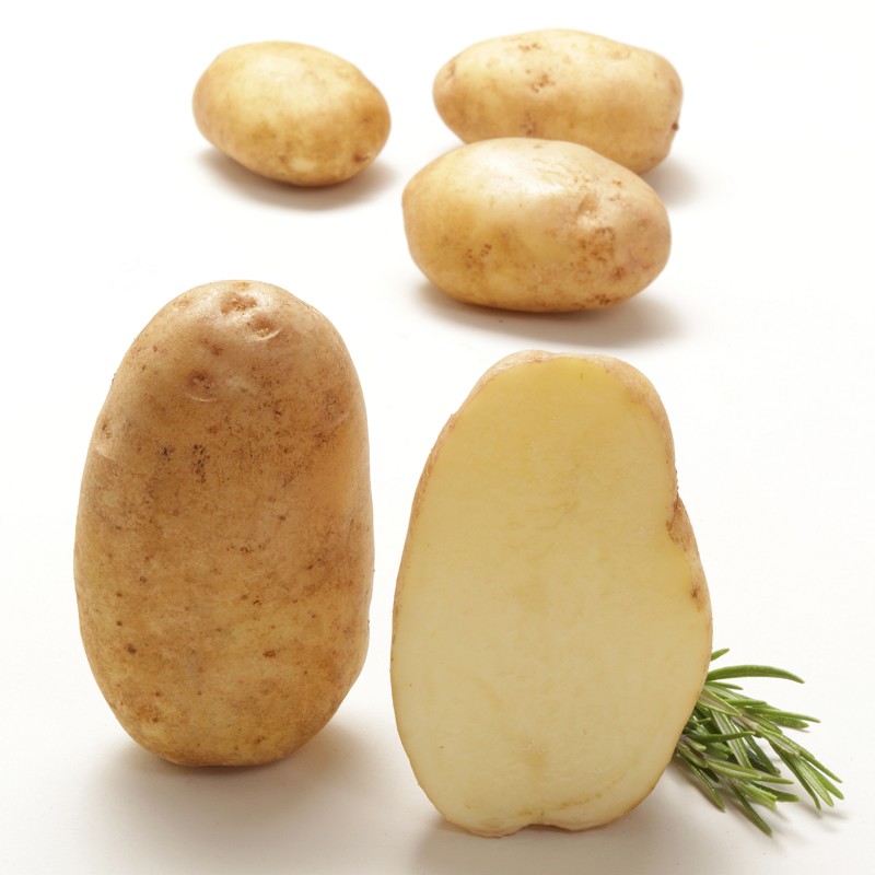 Bio-Kartoffeln Voran