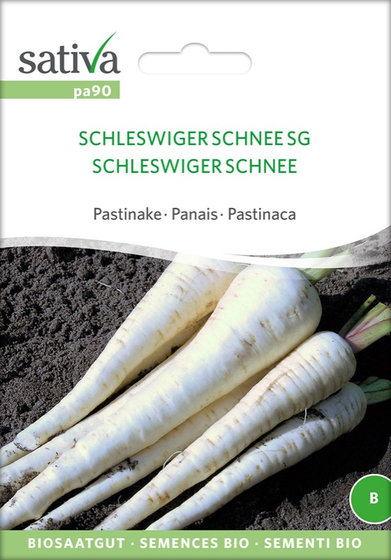 Pastinake Schleswiger Schnee SG Biosaatgut