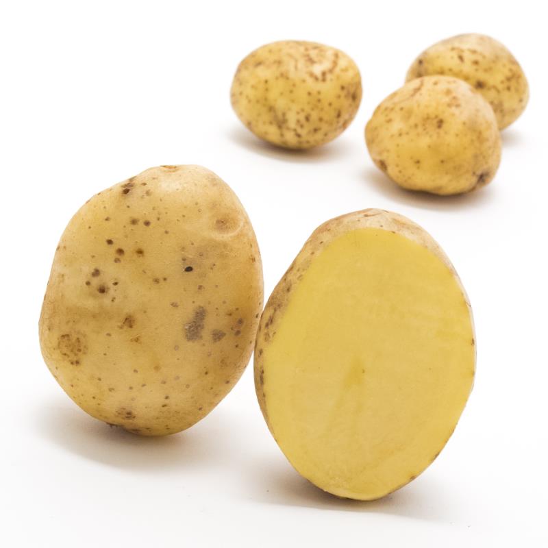 Bio-Kartoffeln Erna