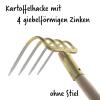 Bild 53544_19338.jpg