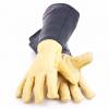 Bild bradleys_dornenhandschuh_b_17087.jpg