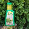 Bild buxus_ilex_duenger_b_12042.jpg