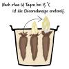 Bild chicoree-anbauen_19015.jpg