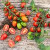 Bild cocktailtomaten-donatellina-bio-saatgut_11355.jpg