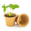 Bild fertilpot-anzuchttopf-12-cm-12-stueck.jpg