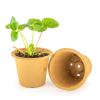 Bild fertilpot-anzuchttopf-12cm-abbaubar_18226.jpg