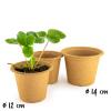 Bild fertilpot-mit-ablaufloch-kopostierbar_18202.jpg