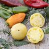 Bild fleischtomate-white-beauty-samen_3984.jpg