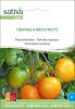 Bild fleischtomate_orange_a_gros_fruits.jpg