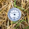Bild kompost-thermometer-minus-10-plus-90-grad_5629.jpg