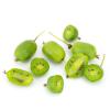 Bild mini-kiwi-issai-selbstfruchtbar_10570.jpg