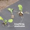 Bild mulchfolie_aus_naturpapier-biologisch-abbaubar_20329.jpg