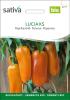 Bild paprika-lucia-mild-saatgut_19523.jpg