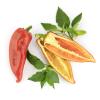 Bild paprika-ochsenhorn-saatgut_11496.jpg