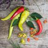 Bild paprika-sweet-banana-hof-jeebel.jpg
