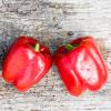 Bild paprika-yolo-wonder_18801.jpg
