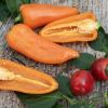 Bild paprika_lady_lou_10239.jpg