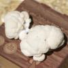 Bild pom-pom-pilze-pilzzucht-box-hof-jeebel_14269.jpg