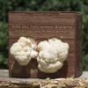Bild pom-pom-pilze-pilzzuchtbox-hof-jeebel_14268.jpg