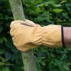 Bild rostaing-handschuhe-tradition-leder-biogartenversand_14009.jpg