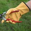 Bild rostaing-handschuhe-tradition-leder-hof-jeebel_14008.jpg