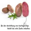 Bild: rote-pflanzkartoffel-emmalie_19168.jpg 