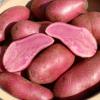 Bild: rote_emmalie_kartoffel_a_15587.jpg 