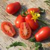 Bild salattomate-naama-bio-saatgut-hof-jeebel_14735.jpg
