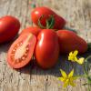 Bild salattomate-naama-biosaatgut-hof-jeebel_14734.jpg