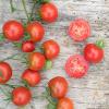Bild salattomate_stupice_d.jpg